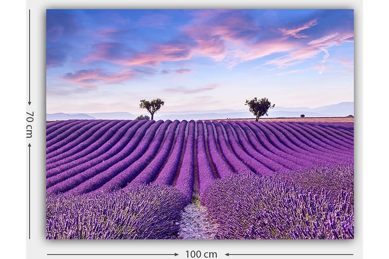 Canvastavla 70x100 cm - Vacker lavendelfält med mjuka, vågiga rader av lavendelblommor under en klar himmel - Lila / Grön / Blå - Inredning - Tavlor & posters - Canvastavla
