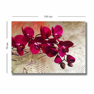 Canvastavla 70x100 cm - Vacker orkidé med djuprosa blommor mot en gyllene bakgrund - Djuprosa / Guld - Inredning - Tavlor & posters - Canvastavla