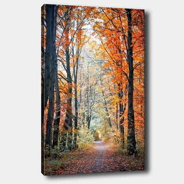 Canvastavla 70x100 cm - Vacker skogsstig omgiven av höstfärger och träd med gyllene och orange löv - Orange / Guld / Grön - Inredning - Tavlor & posters - Canvastavla