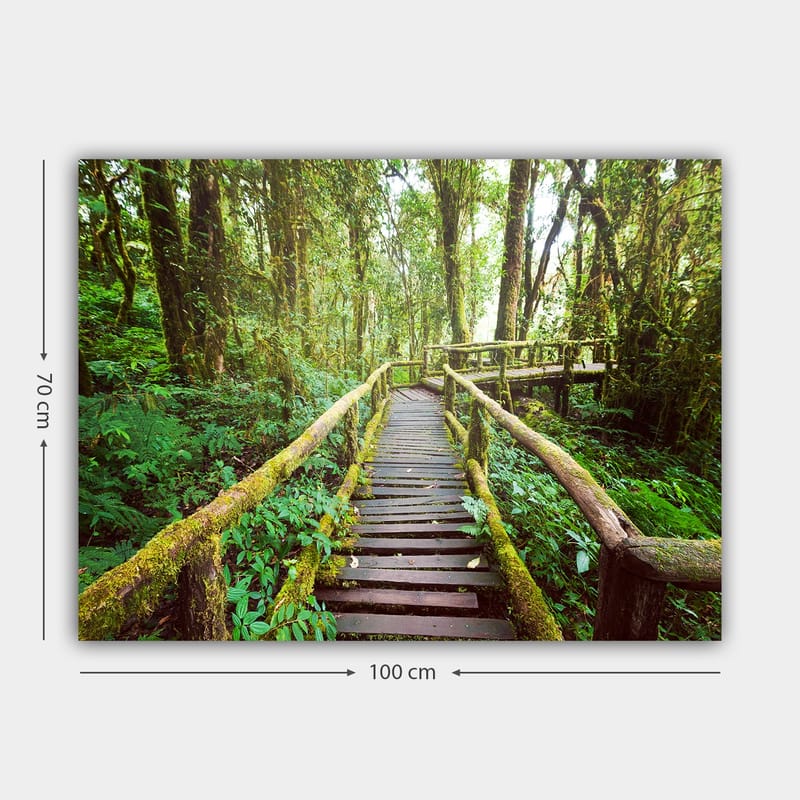 Canvastavla 70x100 cm - Vacker träbro som slingrar sig genom en grönskande regnskog - Grön / Brun / Gulgrön - Inredning - Tavlor & posters - Canvastavla