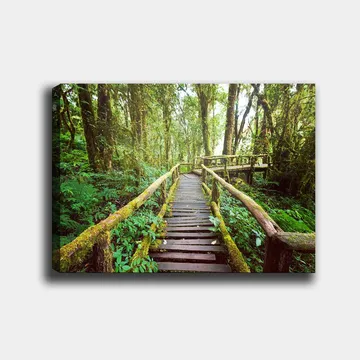 Canvastavla 70x100 cm - Vacker träbro som slingrar sig genom en grönskande regnskog - Grön / Brun / Gulgrön - Inredning - Tavlor & posters - Canvastavla