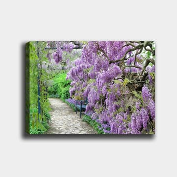 Canvastavla 70x100 cm - Vacker trädgård med blommande wisteria som skapar en romantisk och lugn atmosfär - Lila / Grön - Inredning - Tavlor & posters - Canvastavla