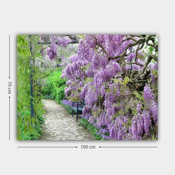 Canvastavla 70x100 cm - Vacker trädgård med blommande wisteria som skapar en romantisk och lugn atmosfär - Lila / Grön - Inredning - Tavlor & posters - Canvastavla