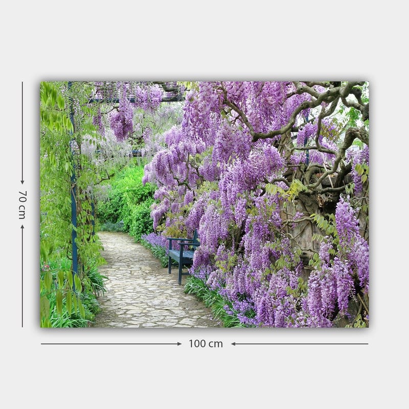 Canvastavla 70x100 cm - Vacker trädgård med blommande wisteria som skapar en romantisk och lugn atmosfär - Lila / Grön - Inredning - Tavlor & posters - Canvastavla