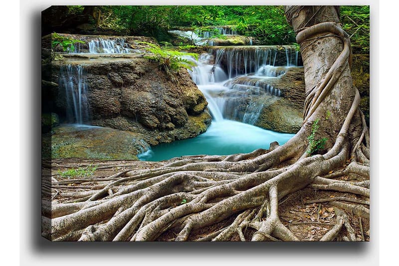 Canvastavla 70x100 cm - Vacker vattenfallsscen omgiven av frodig grönska och kraftiga trädstammar - Grön / Blå / Brun - Inredning - Tavlor & posters - Canvastavla