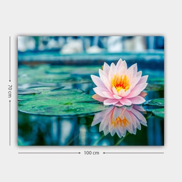 Canvastavla 70x100 cm - Vacker vattenlilja som flyter på en stilla sjö med gröna näckrosblad - Rosa / Grönt / Gult - Inredning - Tavlor & posters - Canvastavla