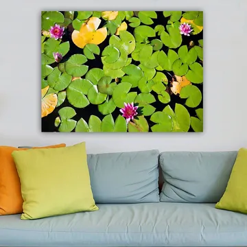 Canvastavla 70x100 cm - Vacker vy av näckrosor som flyter på en spegelblanka vattenyta omgiven av gröna liljeblad - Grön / Rosa / Gul - Inredning - Tavlor & posters - Canvastavla