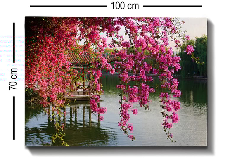 Canvastavla 70x100 cm - Vacker vy med blommande bougainvillea som hänger över en stilla sjö och en traditionell paviljong i bakgrunden - Rosa / Grön / Blågrå - Inredning - Tavlor & posters - Canvastavla