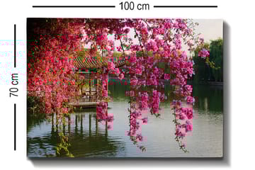 Canvastavla 70x100 cm - Vacker vy med blommande bougainvillea som hänger över en stilla sjö och en traditionell paviljong i bakgrunden - Rosa / Grön / Blågrå - Inredning - Tavlor & posters - Canvastavla