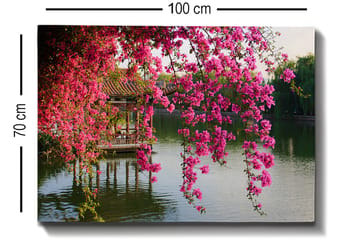 Canvastavla 70x100 cm - Vacker vy med blommande bougainvillea som hänger över en stilla sjö och en traditionell paviljong i bakgrunden - Rosa / Grön / Blågrå - Inredning - Tavlor & posters - Canvastavla