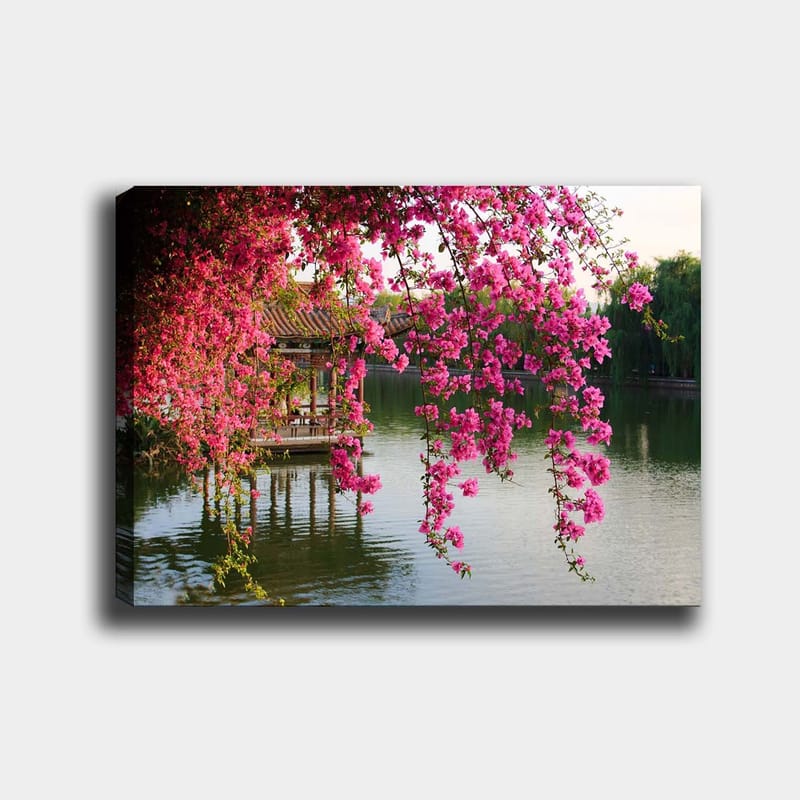 Canvastavla 70x100 cm - Vacker paviljong omgiven av blommande bougainvillea vid en stilla sjö - Rosa / Grön / Blå - Inredning - Tavlor & posters - Canvastavla