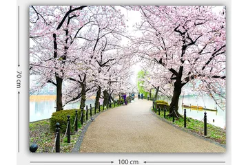 Canvastavla 70x100 cm - Vacker promenad kantad av körsbärsträd i full blom - Rosa / Grön / Brun - Inredning - Tavlor & posters - Canvastavla