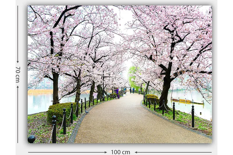 Canvastavla 70x100 cm - Vacker promenad kantad av körsbärsträd i full blom - Rosa / Grön / Brun - Inredning - Tavlor & posters - Canvastavla