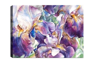 Canvastavla 70x100 cm - Vackra irisblommor i en färgsprakande komposition - Lila / Vit / Gul - Inredning - Tavlor & posters - Canvastavla