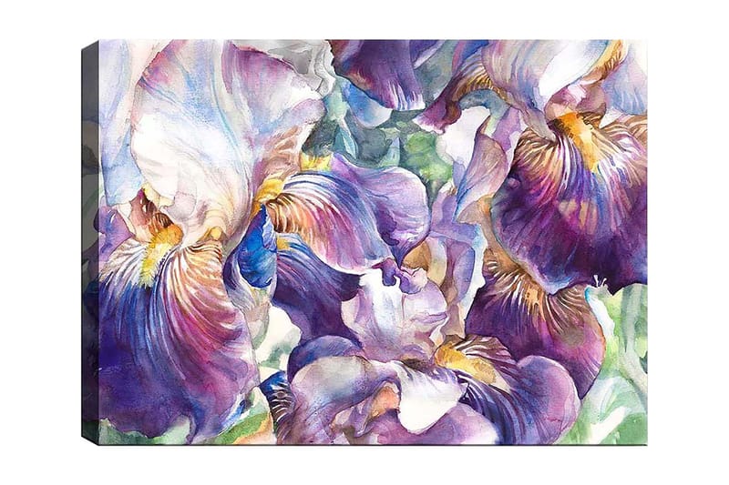 Canvastavla 70x100 cm - Vackra irisblommor i en färgsprakande komposition, Lila / Vit / Gul