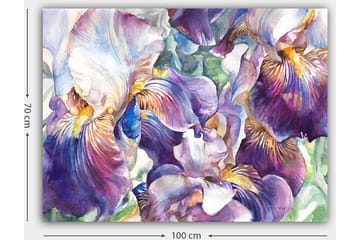 Canvastavla 70x100 cm - Vackra irisblommor i en färgsprakande komposition - Lila / Vit / Gul - Inredning - Tavlor & posters - Canvastavla