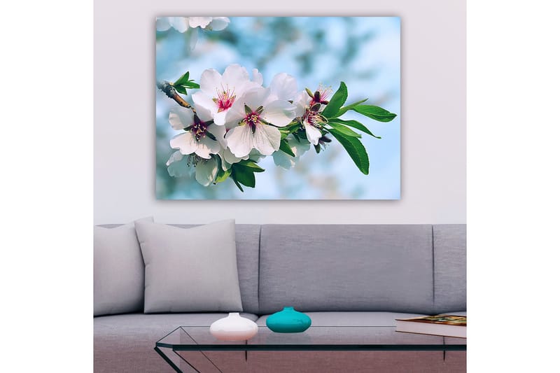 Canvastavla 70x100 cm - Vackra körsbärsblommor i full blom på en gren - Vit / Grön / Rosa - Inredning - Tavlor & posters - Canvastavla