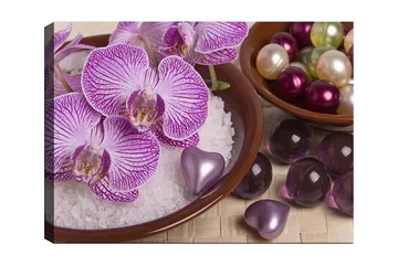 Canvastavla 70x100 cm - Vackra orkidéer i en skål med dekorationselement - Lila / Vit / Rosa - Inredning - Tavlor & posters - Canvastavla