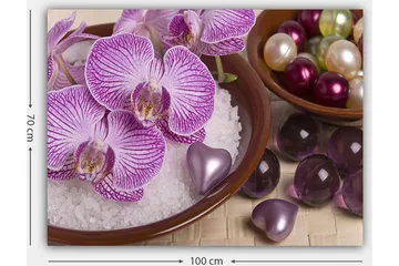 Canvastavla 70x100 cm - Vackra orkidéer i en skål med dekorationselement - Lila / Vit / Rosa - Inredning - Tavlor & posters - Canvastavla