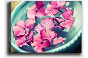 Canvastavla 70x100 cm - Vackra rosa blommor som flyter i en turkos skål - Rosa / Turkos - Inredning - Tavlor & posters - Canvastavla