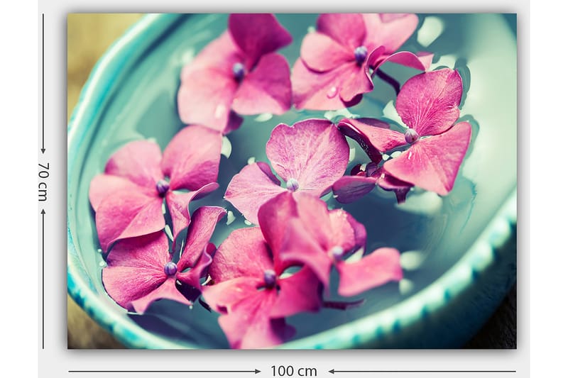 Canvastavla 70x100 cm - Vackra rosa blommor som flyter i en turkos skål - Rosa / Turkos - Inredning - Tavlor & posters - Canvastavla
