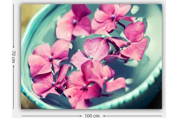 Canvastavla 70x100 cm - Vackra rosa blommor som flyter i en turkos skål - Rosa / Turkos - Inredning - Tavlor & posters - Canvastavla