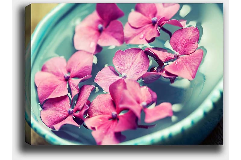 Canvastavla 70x100 cm - Vackra rosa blommor som flyter i en turkos skål - Rosa / Turkos - Inredning - Tavlor & posters - Canvastavla