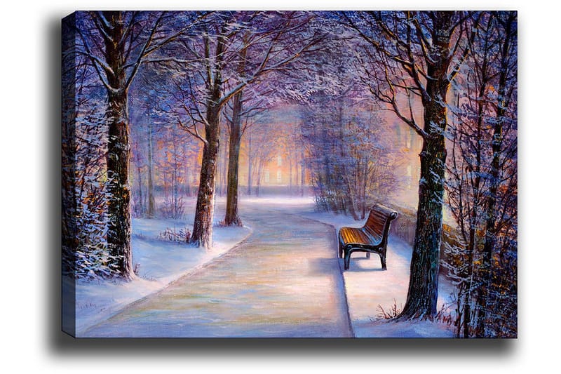 Canvastavla 70x100 cm - Vinterpromenad med snötäckta träd och en ensam bänk längs en stig - Blå / Vit / Grå - Inredning - Tavlor & posters - Canvastavla