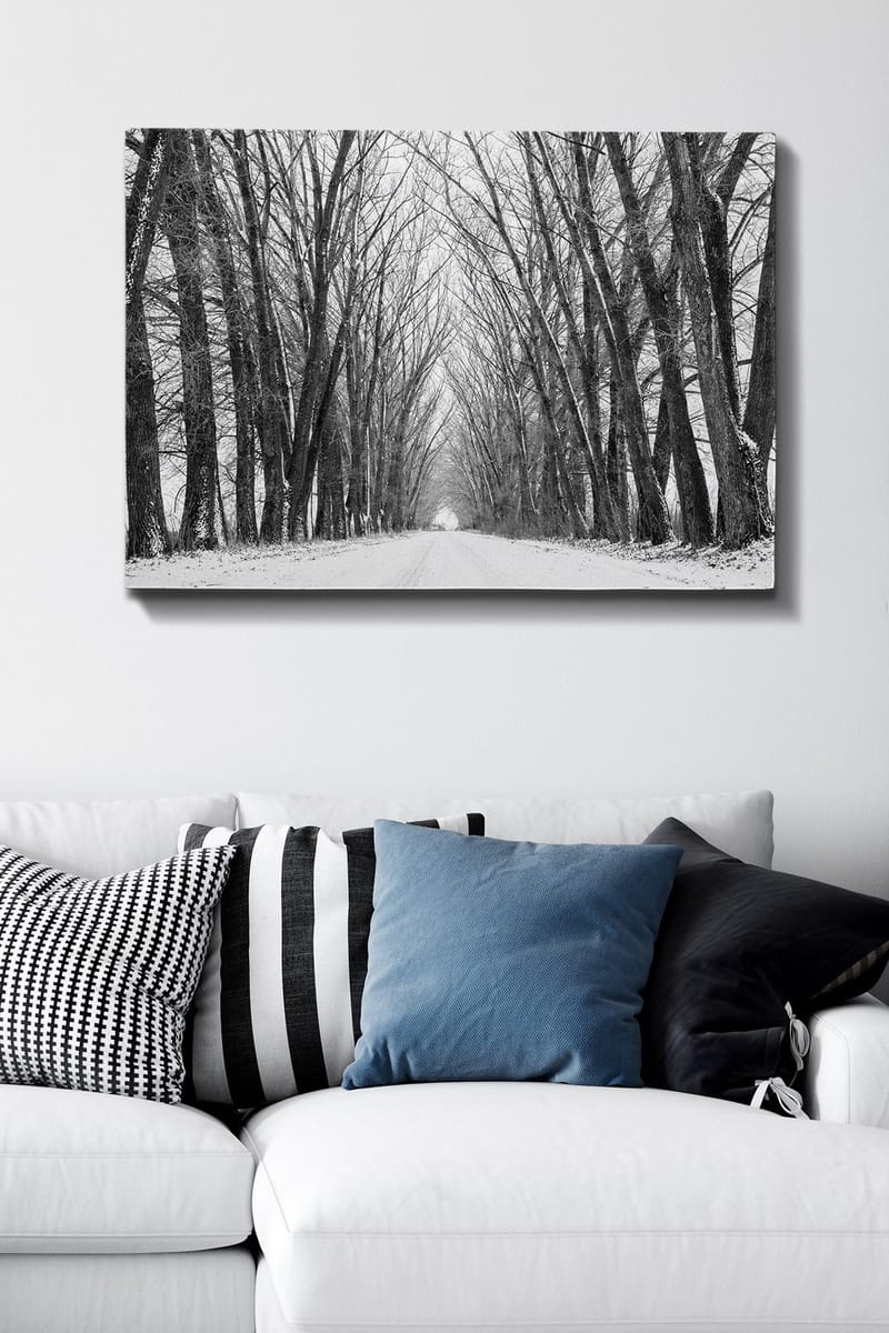 Canvastavla 70x100 cm - Vinterväg omgiven av nakna träd som skapar en stämningsfull och stillsam atmosfär - Svart / Vitt / Grått - Inredning - Tavlor & posters - Canvastavla