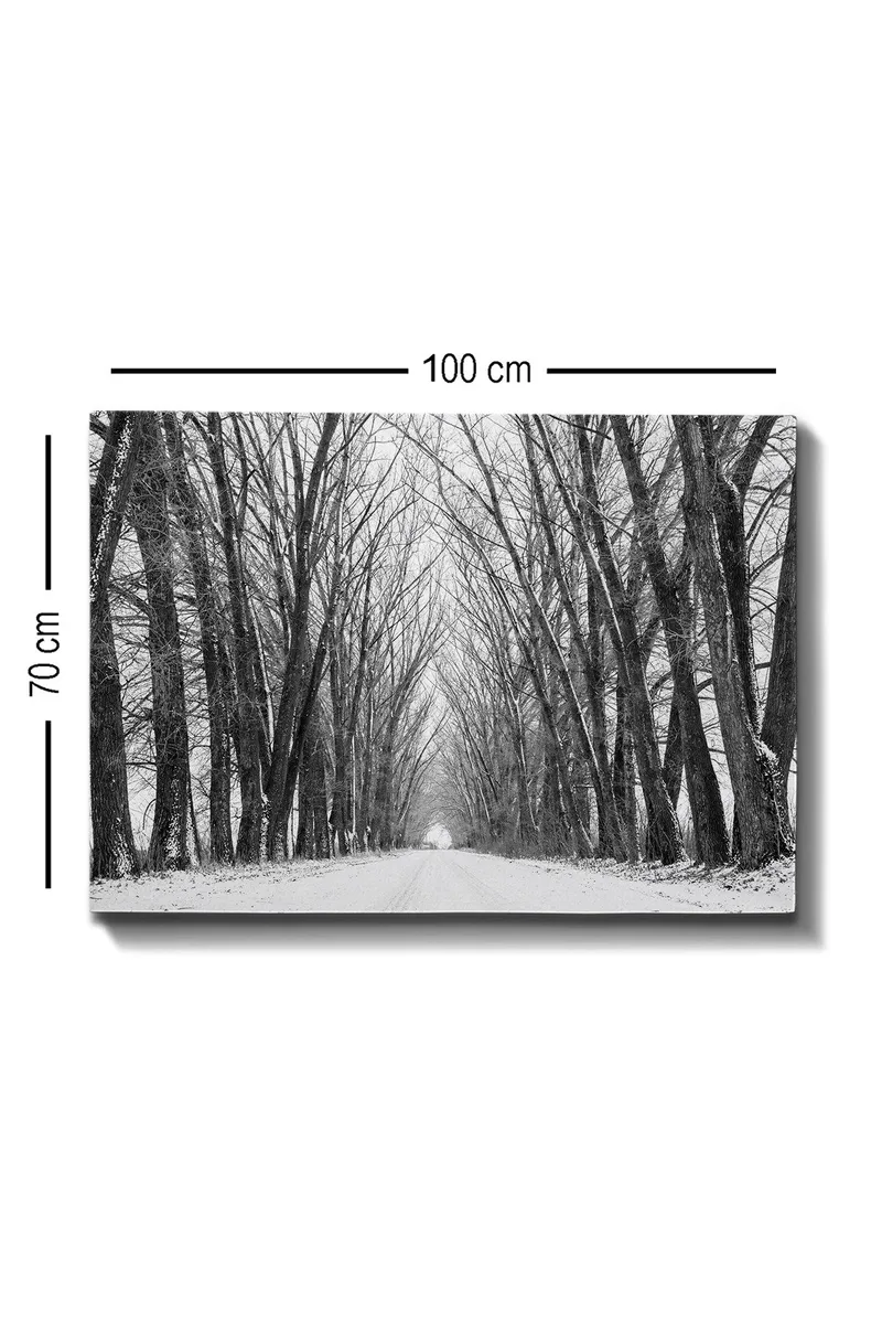 Canvastavla 70x100 cm - Vinterväg omgiven av nakna träd som skapar en stämningsfull och stillsam atmosfär - Svart / Vitt / Grått - Inredning - Tavlor & posters - Canvastavla