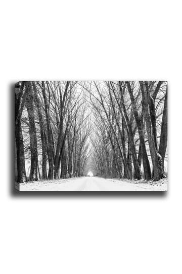 Canvastavla 70x100 cm - Vinterväg omgiven av nakna träd som skapar en stämningsfull och stillsam atmosfär - Svart / Vitt / Grått - Inredning - Tavlor & posters - Canvastavla