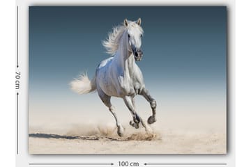 Canvastavla 70x100 cm - Vit häst som galopperar genom en sandig miljö - Vit / Beige / Ljusblå - Inredning - Tavlor & posters - Canvastavla