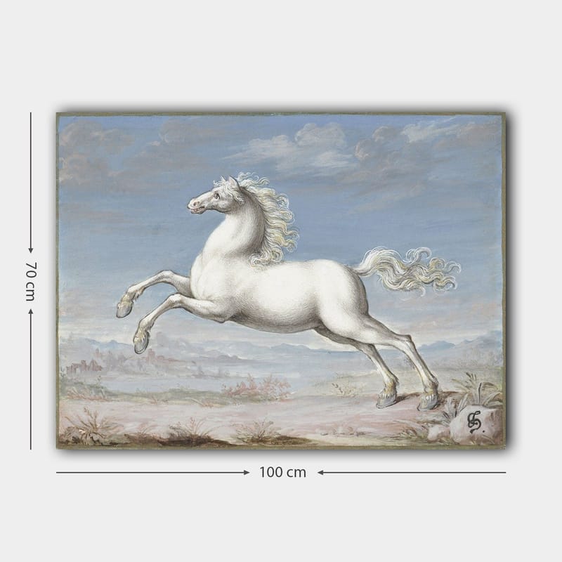 Canvastavla 70x100 cm - Vit häst som hoppar framåt i en naturskön landskapsmiljö - Vit / Ljusblå / Beige - Inredning - Tavlor & posters - Canvastavla