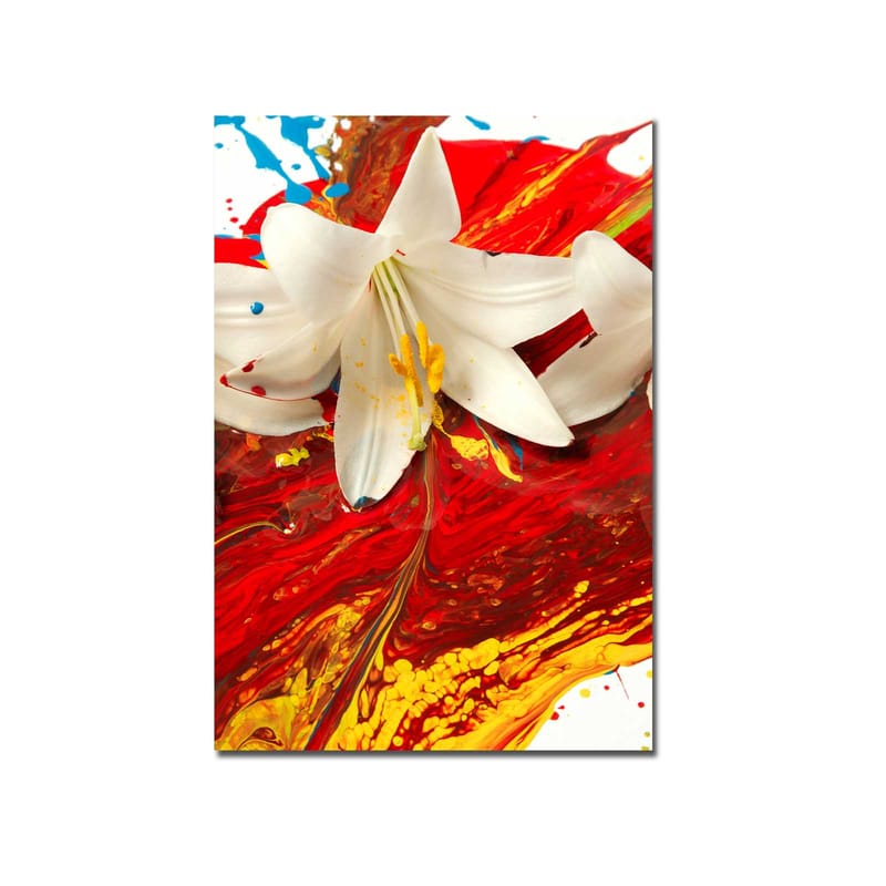 Canvastavla 70x100 cm - Vit lilja som framträder mot en bakgrund av intensiva röda och gula färger - Röd / Gul / Vit - Inredning - Tavlor & posters - Canvastavla