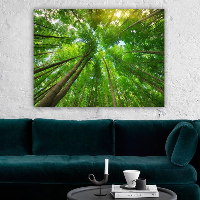 Canvastavla 70x100 cm - Vy av höga träd sedd från marken, som sträcker sig mot en klar himmel - Grön / Brun - Inredning - Tavlor & posters - Canvastavla