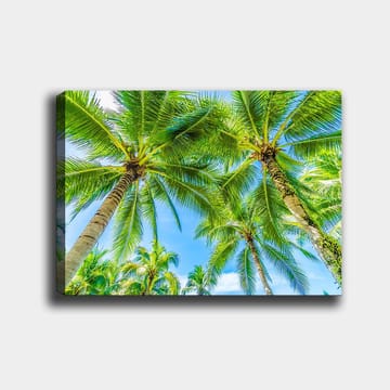 Canvastavla 70x100 cm - Vy av höga palmer som sträcker sig mot en klar blå himmel - Grön / Blå - Inredning - Tavlor & posters - Canvastavla