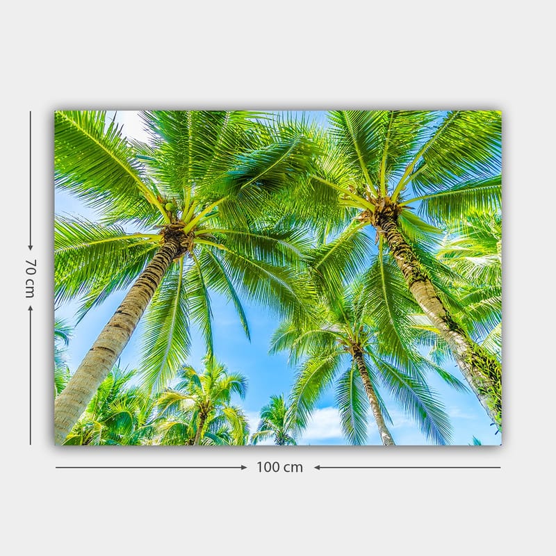 Canvastavla 70x100 cm - Vy av höga palmer som sträcker sig mot en klar blå himmel - Grön / Blå - Inredning - Tavlor & posters - Canvastavla