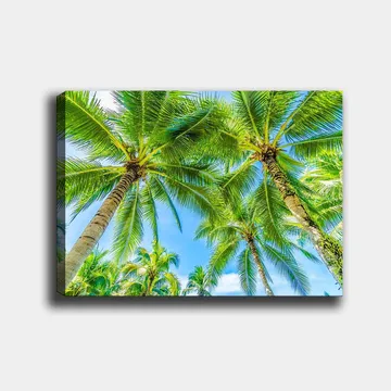 Canvastavla 70x100 cm - Vy av höga palmer som sträcker sig mot en klar blå himmel - Grön / Blå - Inredning - Tavlor & posters - Canvastavla