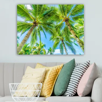 Canvastavla 70x100 cm - Vy av höga palmer som sträcker sig mot en klar blå himmel - Grön / Blå - Inredning - Tavlor & posters - Canvastavla