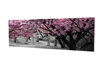 Canvastavla 80x30 cm - Blommande körsbärsträd i svartvitt landskap - Rosa / Svart - Inredning - Tavlor & posters - Canvastavla