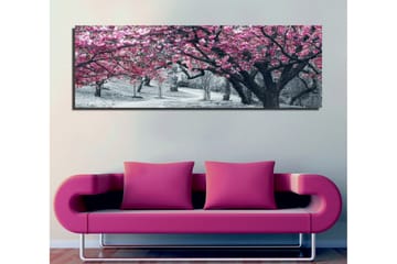 Canvastavla 80x30 cm - Blommande körsbärsträd i svartvitt landskap - Rosa / Svart - Inredning - Tavlor & posters - Canvastavla