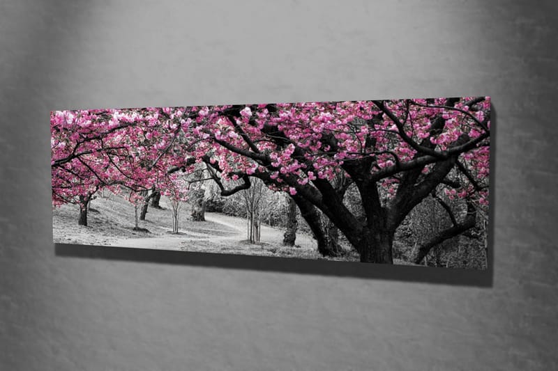 Canvastavla 80x30 cm - Blommande körsbärsträd i svartvitt landskap - Rosa / Svart - Inredning - Tavlor & posters - Canvastavla