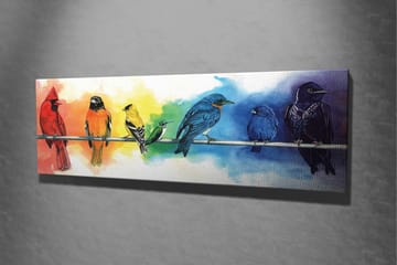 Canvastavla 80x30 cm - F ärgglad samling av fåglar på en gren - Röd / Blå / Gul - Inredning - Tavlor & posters - Canvastavla