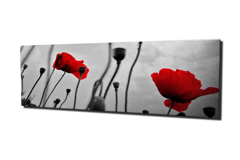 Canvastavla 80x30 cm - Röd vallmo mot en svartvit bakgrund - Röd / Svart / Grå - Inredning - Tavlor & posters - Canvastavla