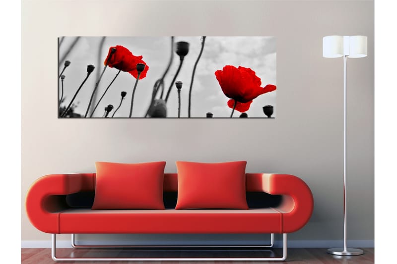 Canvastavla 80x30 cm - Röd vallmo mot en svartvit bakgrund - Röd / Svart / Grå - Inredning - Tavlor & posters - Canvastavla