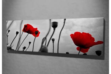 Canvastavla 80x30 cm - Röd vallmo mot en svartvit bakgrund - Röd / Svart / Grå - Inredning - Tavlor & posters - Canvastavla