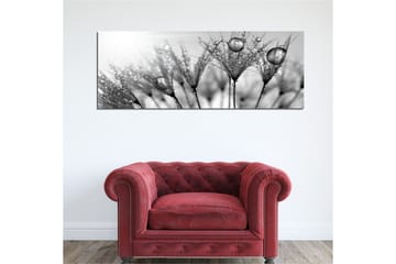 Canvastavla 80x30 cm - Svartvit bild av vattendroppar på fjädrar - Svart / Vitt / Grått - Inredning - Tavlor & posters - Canvastavla