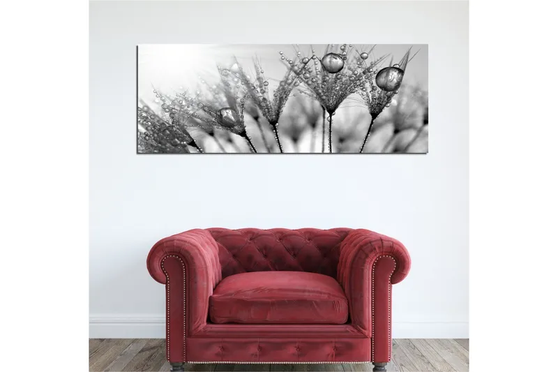 Canvastavla 80x30 cm - Svartvit bild av vattendroppar på fjädrar - Svart / Vitt / Grått - Inredning - Tavlor & posters - Canvastavla