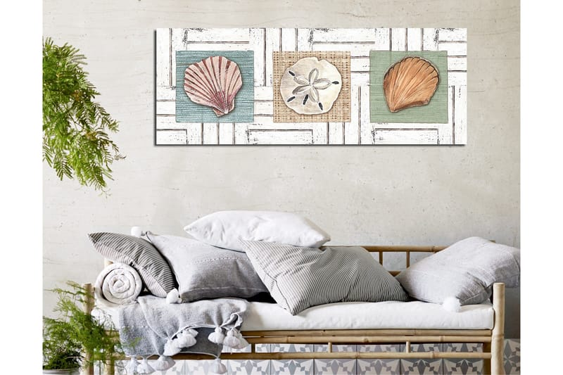 Canvastavla 80x30 cm - Tre olika snäckor på färgade bakgrunder - Grön / Beige / Rosa - Inredning - Tavlor & posters - Canvastavla