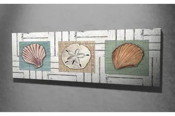 Canvastavla 80x30 cm - Tre olika snäckor på färgade bakgrunder - Grön / Beige / Rosa - Inredning - Tavlor & posters - Canvastavla